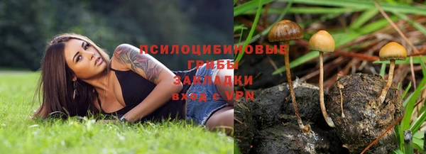 ALPHA PVP Коряжма